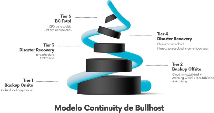 Business Continuity model by Bullhost